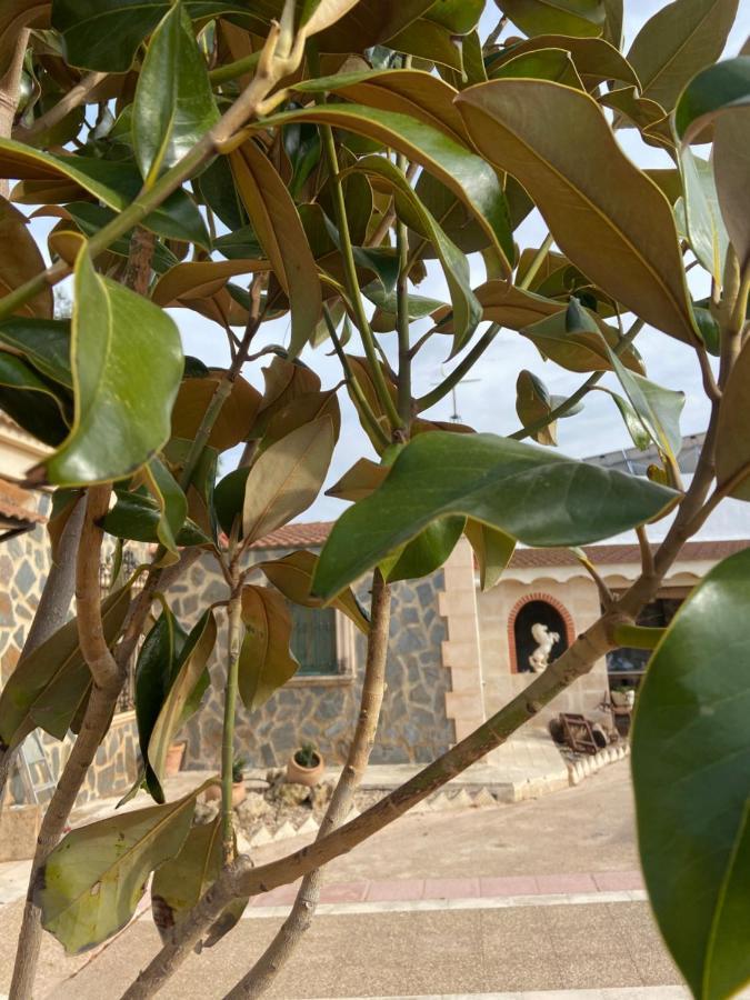 Esse Natura Alojamientos & Lifestyle Pozohondo Kültér fotó