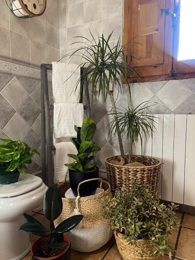 Esse Natura Alojamientos & Lifestyle Pozohondo Kültér fotó